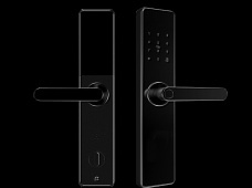 青松沃德-Wi-Fi 指紋鎖家用防盜門智能門鎖密碼鎖刷卡電子鎖 防磁干擾 防撬 L9-WT (不含鎖體，鎖體需另購）